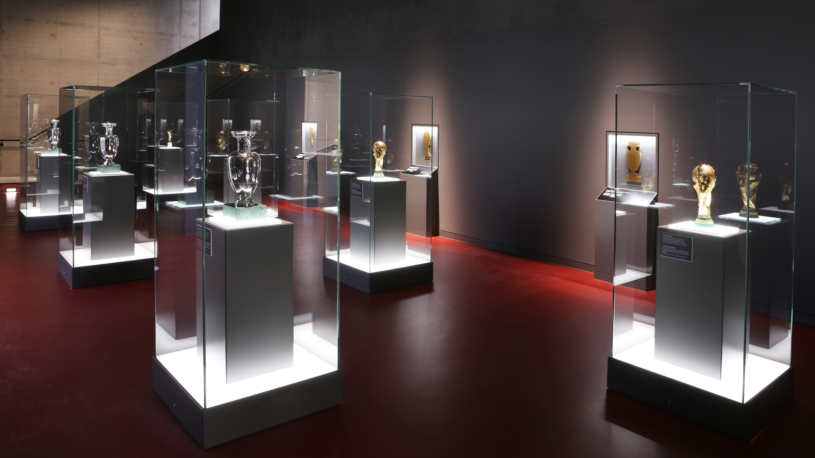 Informationen :: Deutsches Fußballmuseum :: Gesellschaften :: Der DFB
