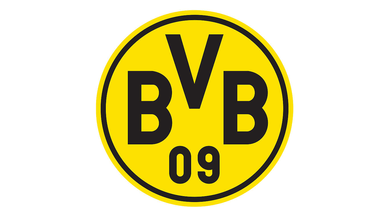 Wegen Fehlverhaltens der Anhänger verurteilt: Borussia Dortmund © Borussia Dortmund
