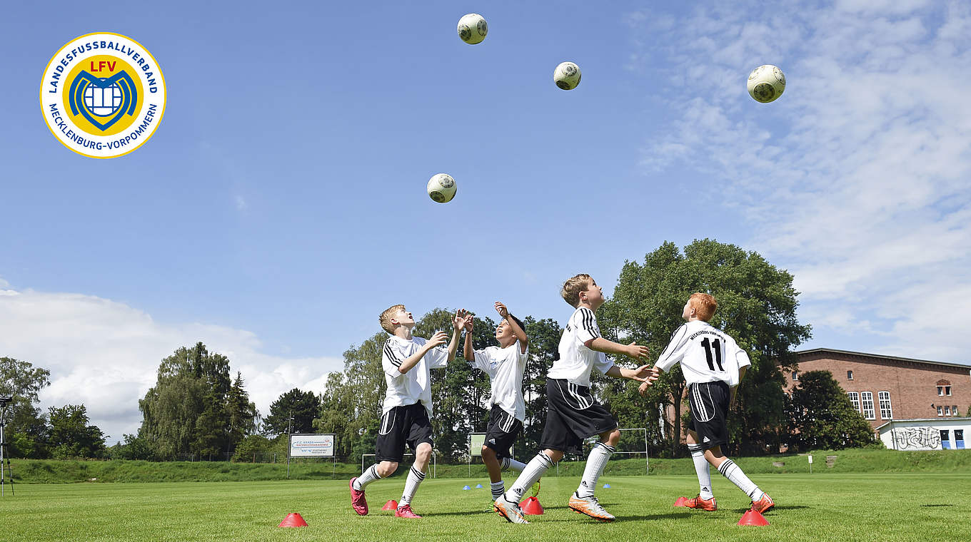 Landesverband MecklenburgVorpommern Integratives