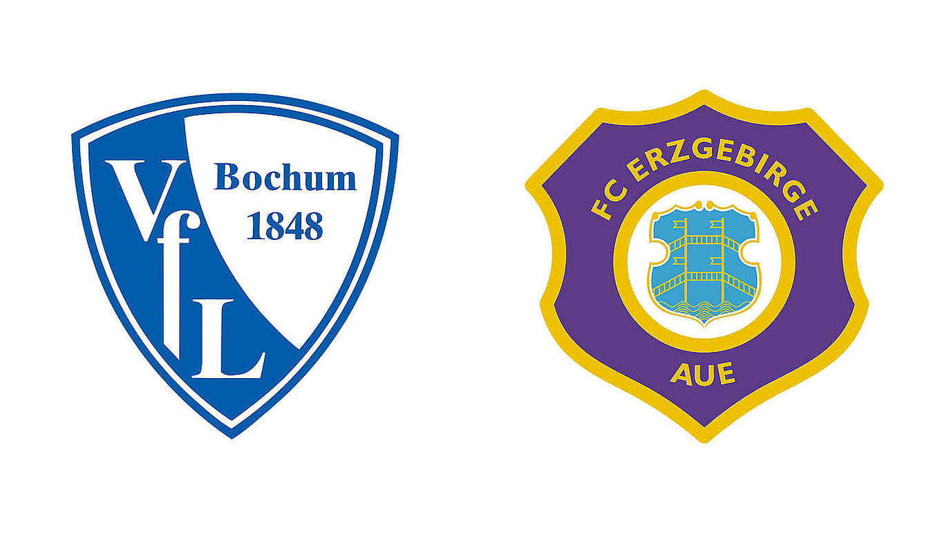 Geldstrafen für Aue und Bochum DFB