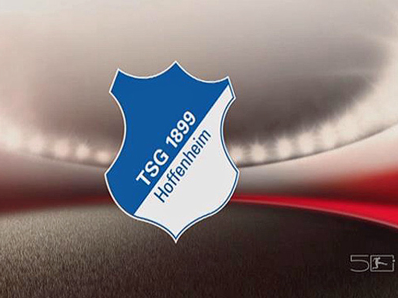 1899 Hoffenheim Ein Dorf In Der Bundesliga Dfb Deutscher